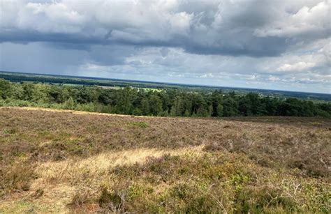 wandelen halen|De 10 beste wandelroutes om te wandelen in Halen 